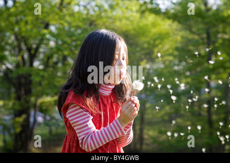 Ragazza di soffiaggio semi di dente di leone Foto Stock