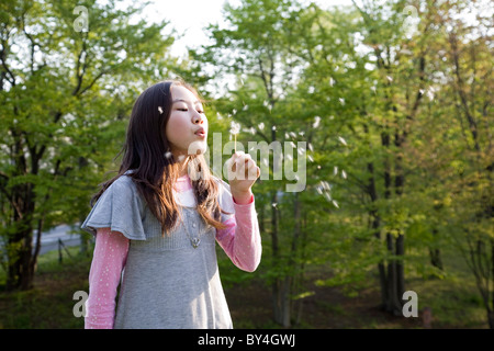 Ragazza di soffiaggio semi di dente di leone Foto Stock