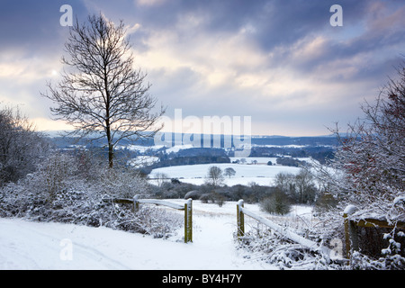 Il sole comincia a rompere attraverso il cloud in una fredda mattina invernale a Newlands Corner sull'Albury Downs Foto Stock