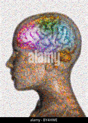 Fotomosaico immagine del cervello umano entro la testa Foto Stock