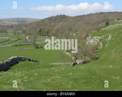 Cove cicatrice con legno bastow oltre, vicino grassington, wharfedale, Yorkshire Dales National Park, North Yorkshire, Inghilterra, Regno Unito. Foto Stock