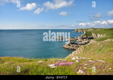 Paesaggi costieri nei pressi di ampia oasi sud, Pembrokeshire Foto Stock