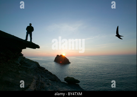 Un uomo sulla scogliera cime a Boscastle affacciato Meachard isola in Cornwall Regno Unito Foto Stock