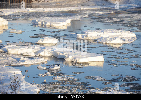 Ice bergs nel fiume Tay, Perth Foto Stock