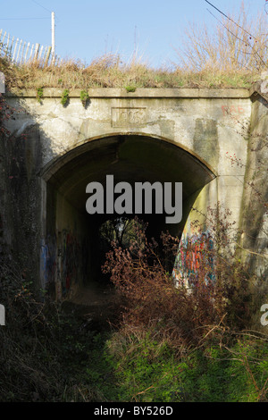 Il tunnel della ferrovia per il Davington light railway nel Kent Foto Stock