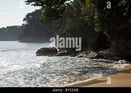 La foresta tropicale incontra il mare dei Caraibi a Gandoca-Manzanillo Wildlife Refuge in Limon Provincia, Costa Rica. Foto Stock