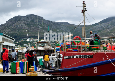 Fisherman caricare una barca da pesca al porto. Cape Town, Sud Africa. Foto Stock