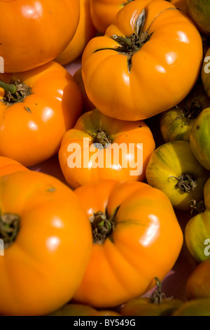 Close-up di pomodori organico a Coventry farmers market, Connecticut Foto Stock