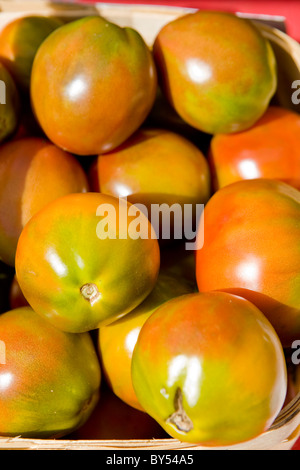 Close-up di pomodori organico a Coventry farmers market, Connecticut Foto Stock