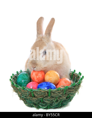 Piccolo grazioso coniglietto di pasqua con cesto pieno di uova colorate. Tutto su sfondo bianco. Foto Stock