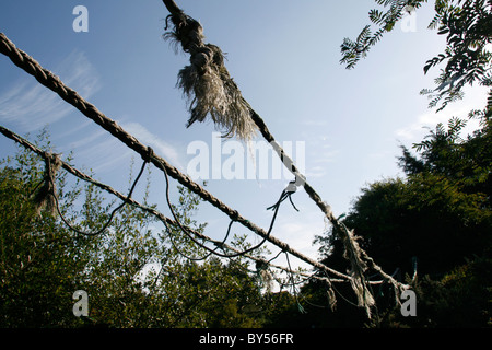 Il vecchio ponte di corde in campo in campagna Foto Stock