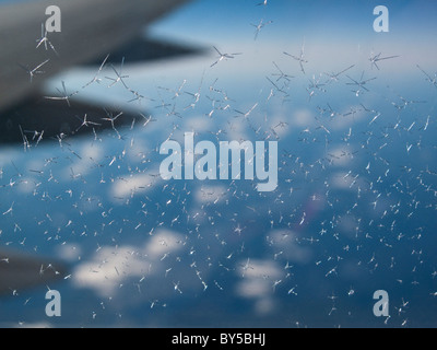 La brina sulla finestra di un aereo Foto Stock