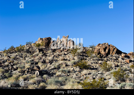 Chukar area di caccia nell ovest del Deserto Mojave vicino a Barstow, CA Foto Stock