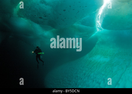 Artico Canadese immersioni subacquee sul bordo floe Pond ingresso, Isola Baffin, Nunavut, Canada Foto Stock