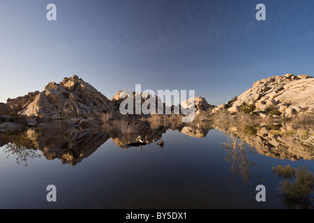 Barker serbatoio a Barker diga o Big Horn Dam a Joshua Tree National Park, California, Stati Uniti d'America. Foto Stock