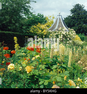 Giallo le rose e i lupini con papaveri rossi in fioritura estiva frontiera nel paese grande giardino Foto Stock