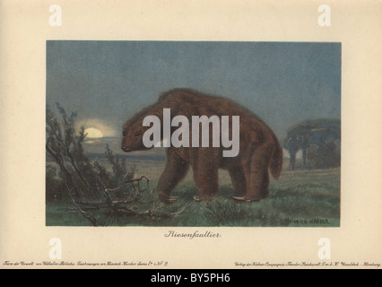 Megatherium americanum (grande bestia) era un genere di elefante-massa di dimensioni bradipi. Foto Stock