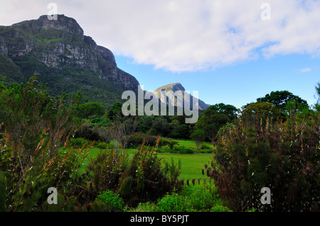 Montagne oltre i Kirstenbosch National Botanical Garden. Cape Town, Sud Africa. Foto Stock