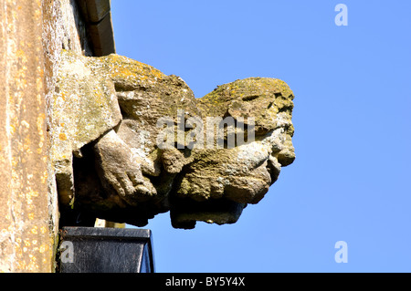 Gargoyle su la Chiesa di Sant'Andrea Burton Overy, Leicestershire, England, Regno Unito Foto Stock