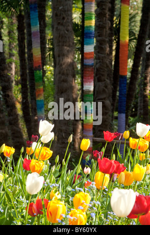 Dipinto di tronchi di alberi come sfondo per vari-tulipani colorati in Andre Heller Giardini Botanici nella località di Gardone Riviera Foto Stock