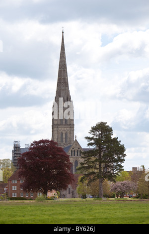 La Cattedrale di Salisbury attraverso Harnham prati di acqua Foto Stock