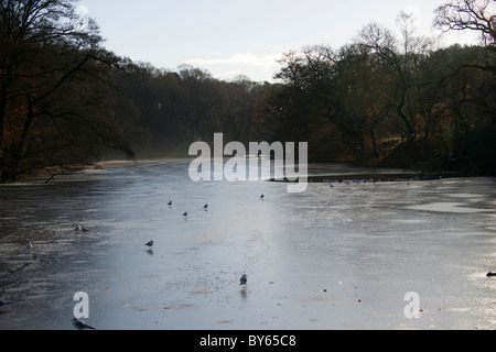 Raby semplice in inverno 2010 il semplice è congelato. Foto Stock