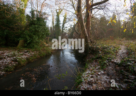 Raby semplice in inverno 2010 il semplice è congelato. Foto Stock