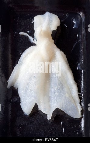 Boiled Ducks Feet - un esempio dello strano o strano cibo mangiato dalle persone di tutto il mondo Foto Stock
