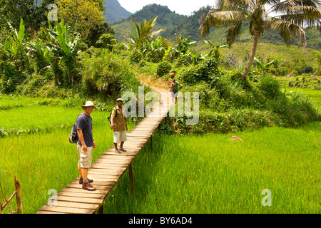 Turistico e guida del Parco a piedi dall'entrata di Marojejy parco nazionale nel nord-est del Madagascar. Foto Stock
