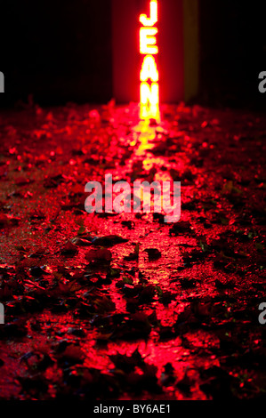 Le luci di uscita di ortografia dei nomi delle vittime della guerra sono riflesse sul panno sentiero coperto di foglie in autunno nel VII arrondissement di Parigi. Molto esigua profondità di campo utilizzato. Foto Stock