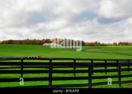 Un cavallo ranch in Saratoga County, New York. Foto Stock