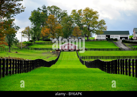 Un cavallo ranch in Upstate New York. Foto Stock