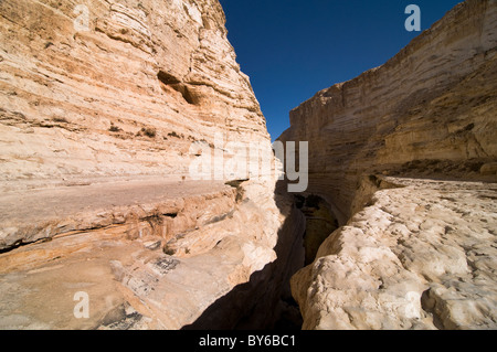 Splendidi paesaggi di Ein Avdat parco nazionale nel deserto del Negev, Israele. Foto Stock