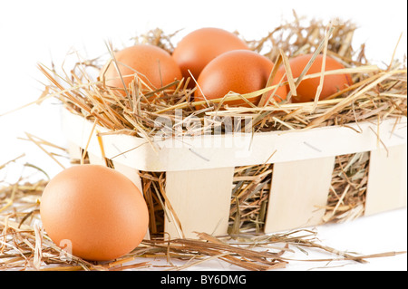 Riprese macro di marrone le uova nel paniere di legno a hay Foto Stock