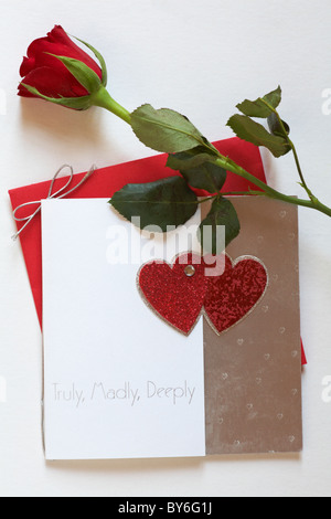 Veramente, pazzo, profondamente valentine card con una rosa rossa per il giorno di San Valentino Foto Stock
