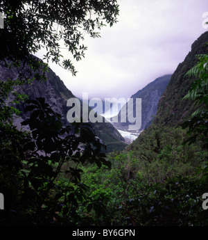 Fox Glacier, Nuova Zelanda Foto Stock