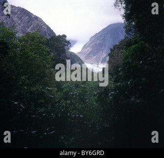 Fox Glacier, Nuova Zelanda Foto Stock