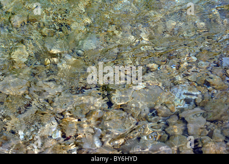 Abstract texture di sfondo di alcune pietre lisce in un fiume Foto Stock