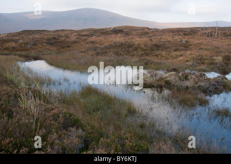 Acqua stagnante sul Rannoch Moor, vicino a Glen Coe. Foto Stock