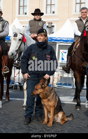Polizia unità cane parade Italia Foto Stock