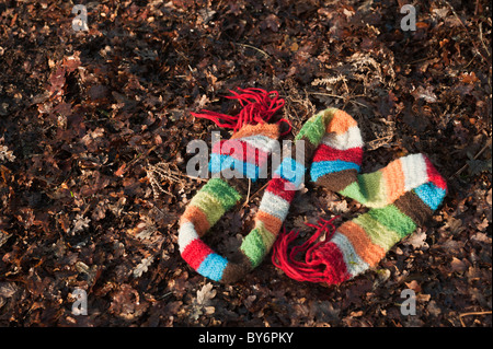 Multi-colore di bambini di sciarpa giacente a terra in un legno Foto Stock