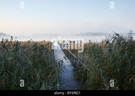 Imbarcadero, pontile in legno sul lago Scharmuetzelsee, Bad Saarow, Land Brandeburgo, Germania Foto Stock