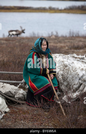 Nenet gli allevatori di renne in Siberia occidentale della penisola di Yamal in Russia Foto Stock