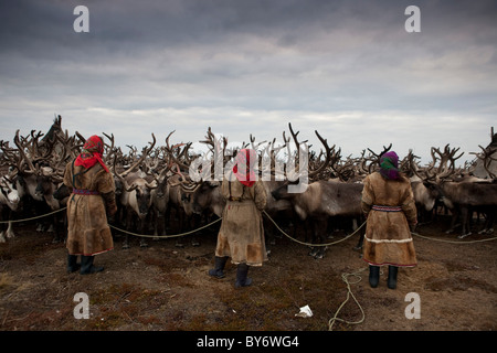 Nenet gli allevatori di renne in Siberia occidentale della penisola di Yamal in Russia Foto Stock