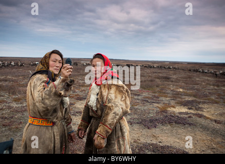 Nenet gli allevatori di renne in Siberia occidentale della penisola di Yamal in Russia Foto Stock