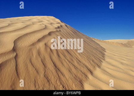 Le dune di sabbia del deserto del Sahara (Grande Erg Orientale) vicino a Douz, Tunisia Foto Stock