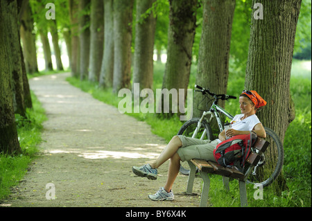 Ciclista femmina in appoggio sul banco in lime tree alley, Altmuehltal pista ciclabile, Altmuehltal parco naturale, Altmuehltal, Baviera, Ger Foto Stock