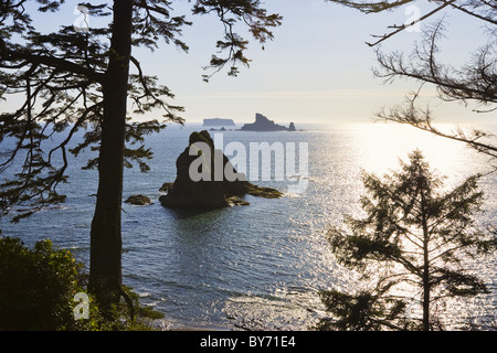 Rialto Beach, nella costa occidentale della Penisola Olimpica, Olympic Nationalpark, Washington, Stati Uniti d'America Foto Stock