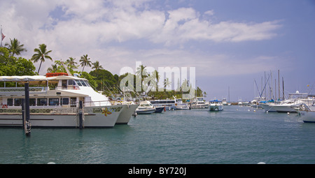 Yachts a Lahaina Harbor, Maui, Hawaii, USA, America Foto Stock