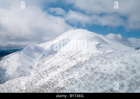 Mt Feathertop in inverno Foto Stock